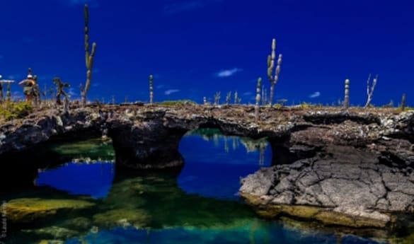 The Tunnels Snorkelling Tour