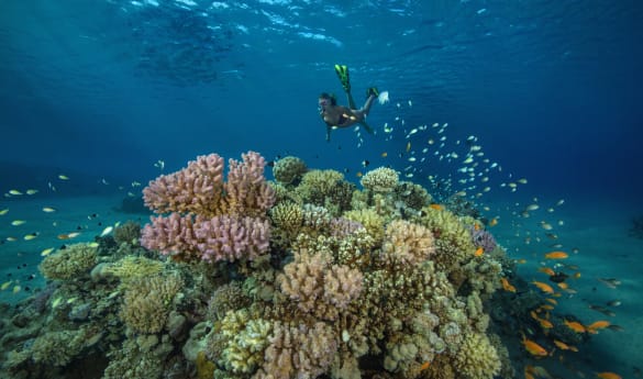 A Family Egyptian Adventure: From Pyramids to Reefs