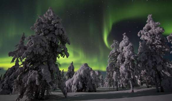Northern Lights tour by snowmobile
