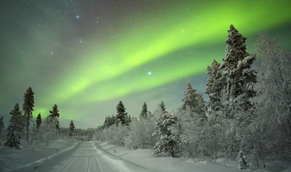 Private reindeer sleigh ride to see the Northern Lights