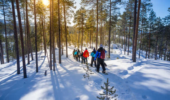 Snowshoeing