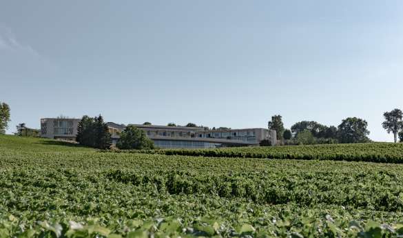 Royal Champagne Hotel and Spa