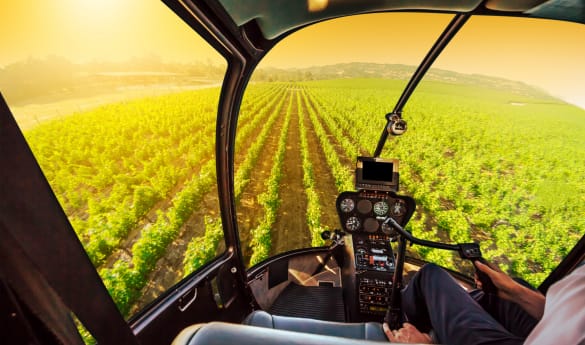 Champagne by Helicopter: The Four Terroirs