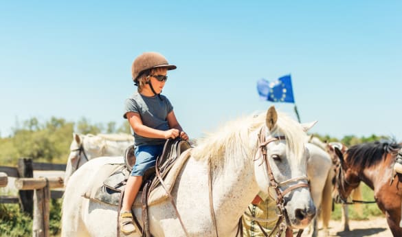 Private Horseback Adventure in the Camargue
