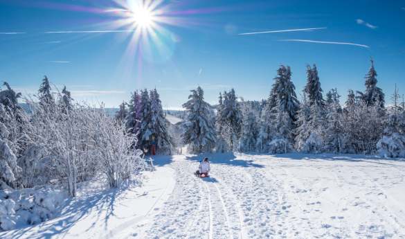 Sledging & Pony Sledging from Le Coucou