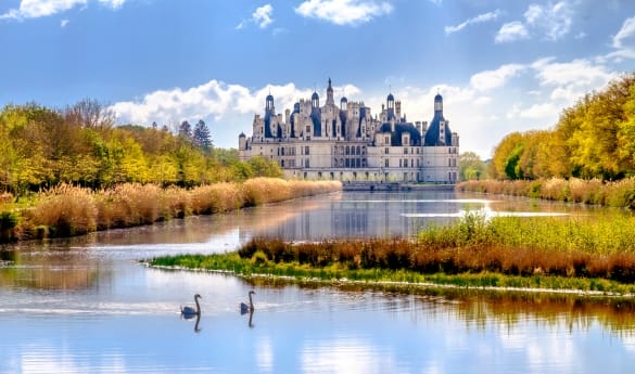 Focus: Castles & Grand Cru Wines