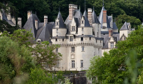 Royal Family Escapade: Paris, Versailles & Loire Valley