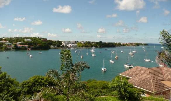 Culinary Caribbean