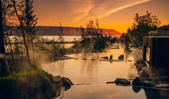 Forest Lagoon Geothermal Spa Experience