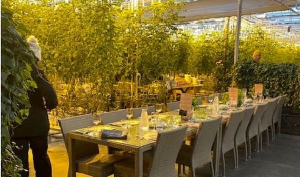 Friðheimar - Greenhouse Private presentation and lunch