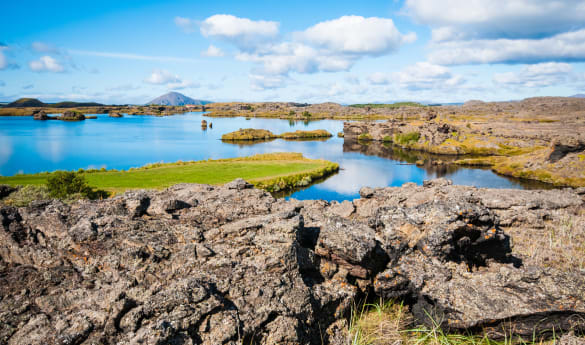 Lake Mývatn Highlights with a Local Guide