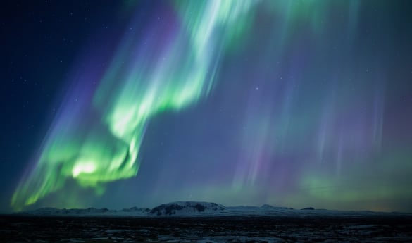 Northern Lights Hunt