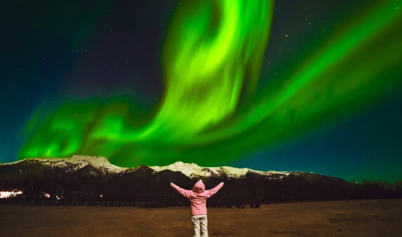 Northern Lights Hunt