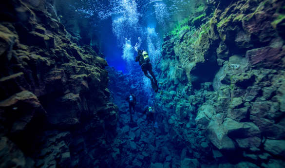 Snorkelling between Tectonic Plates