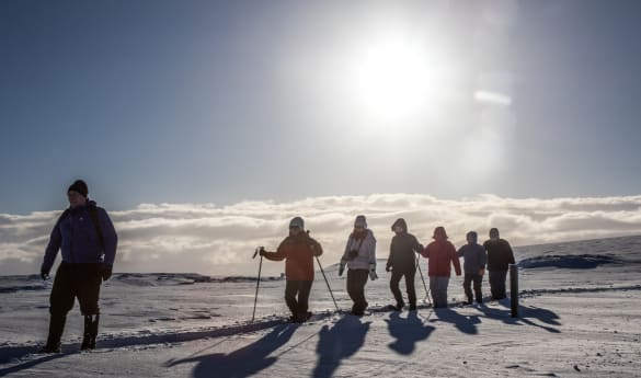 Snowshoeing in Mývatn