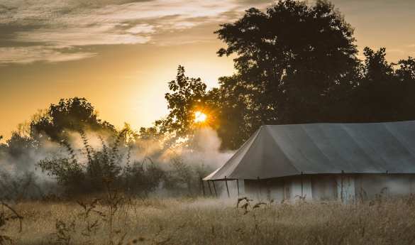 Jamtara Wilderness Camp