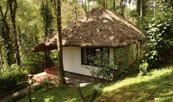 Shalimar Spice Garden
