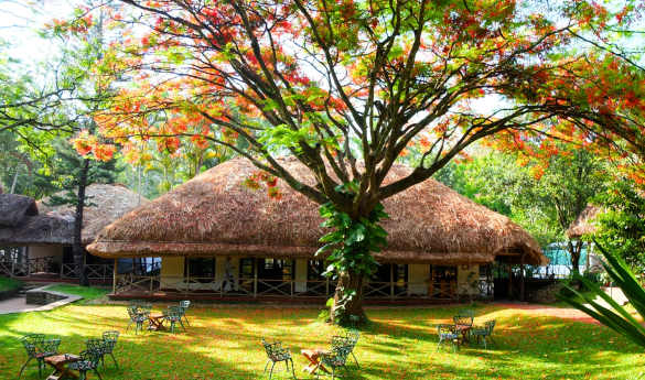 Spice Village