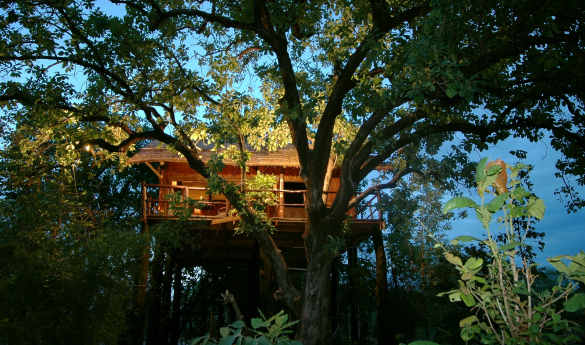 Treehouse Hideaway