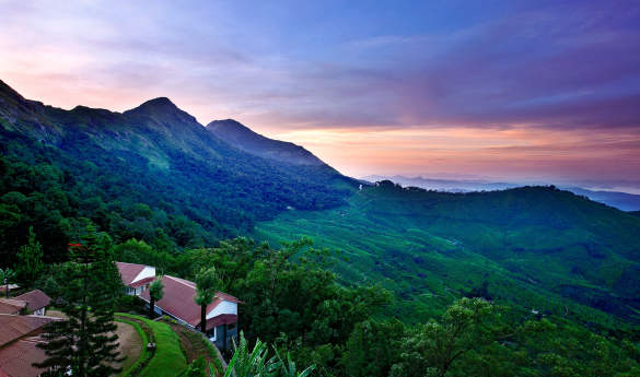 Windermere Plantation Walk