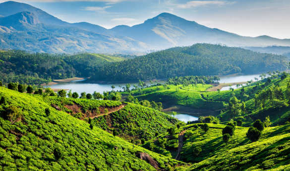 Timeless Charms of Tamil Nadu & Kerala
