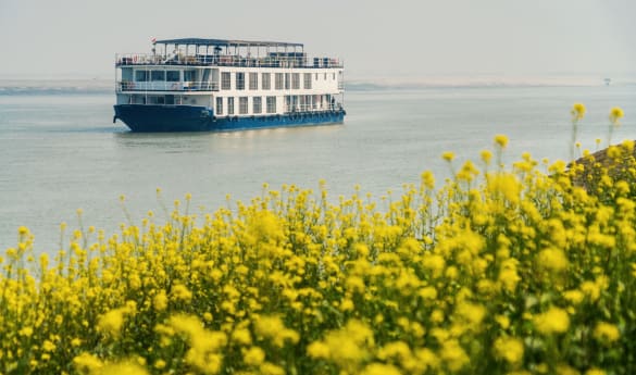 Focus: Indian River Cruise