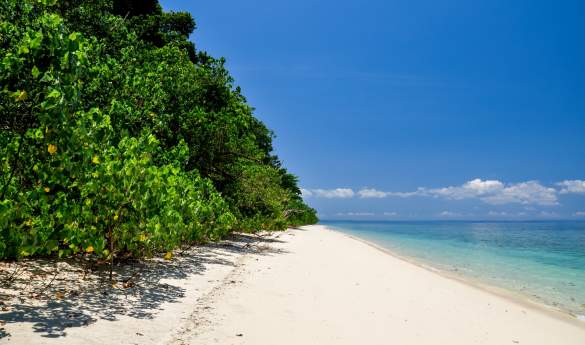 From Temples to Tropics: Tamil Nadu & The Andaman Islands