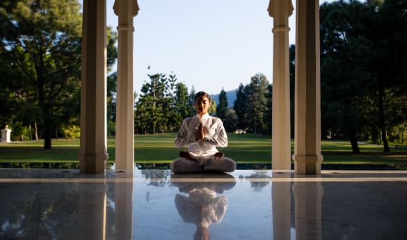 Restorative India