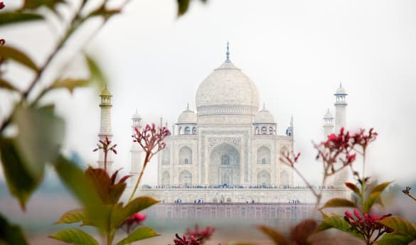 The Golden Triangle, Tigers and The Maldives