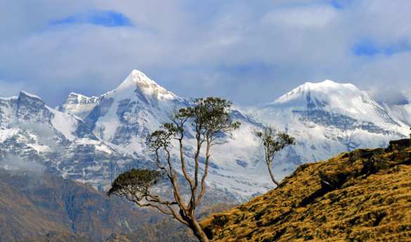 Walk India: Unveiling the Hidden Himalayas