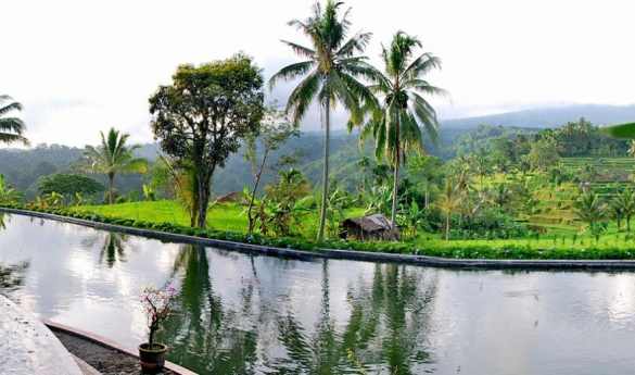 Ijen Resort