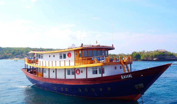 Rascal Voyages