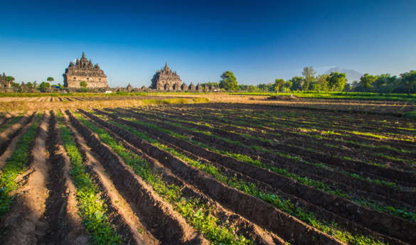 Cycling Prambanan Village