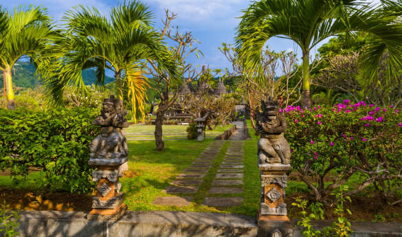 Explore the Charms of Northern Bali