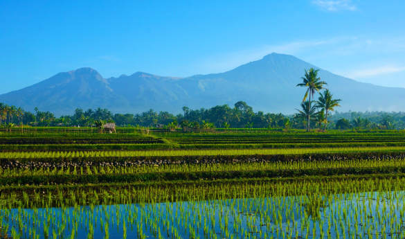 Epic Bali and Lombok