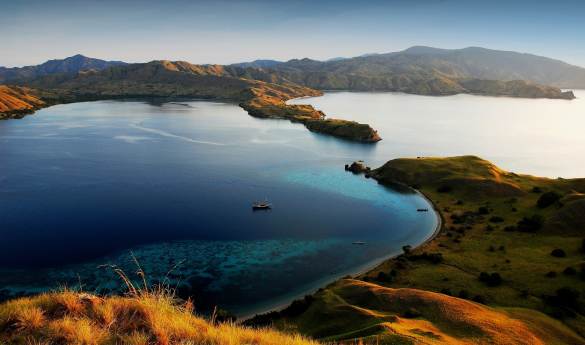 Limitless Indonesia