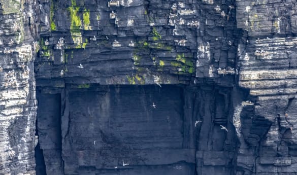 Beneath the Cliffs of Moher
