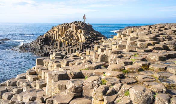 Explore the Giant's Causeway on a Private Day Trip