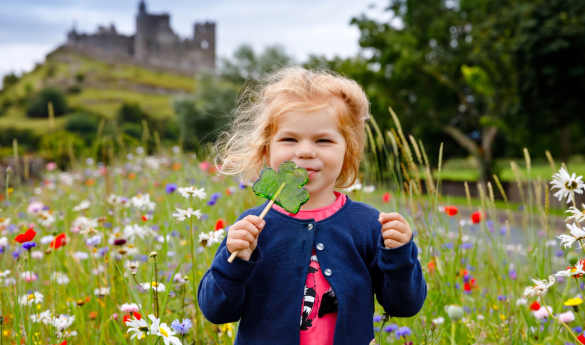 Family Fun in Ireland
