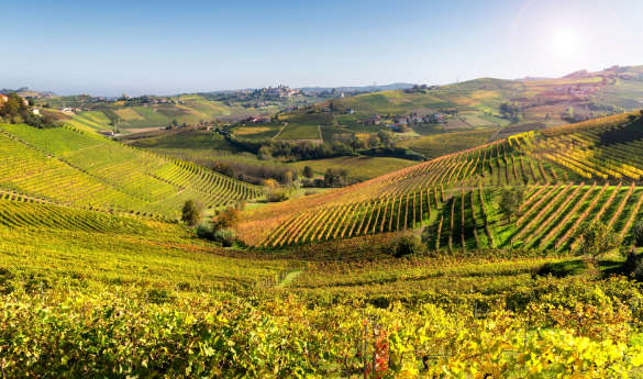 Discover Valpolicella and its wines
