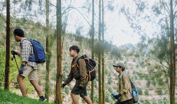 Forest bathing in Castelvecchio Reserve