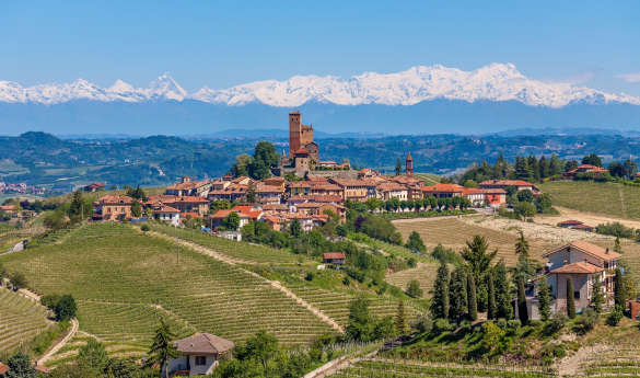 Gourmet walking tour of Alba