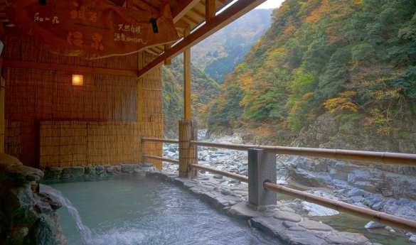 Hotel Iya Onsen