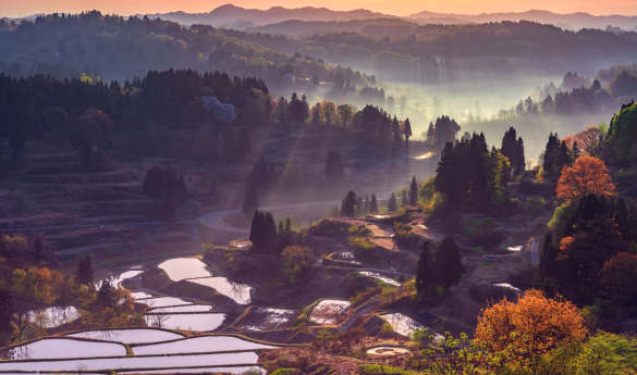 Okura Niigata