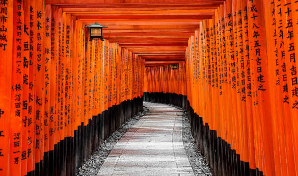 Fushimi Inari's Endless Gates