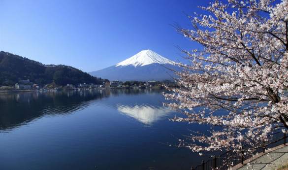 Full Day Hakone Hiking Through History