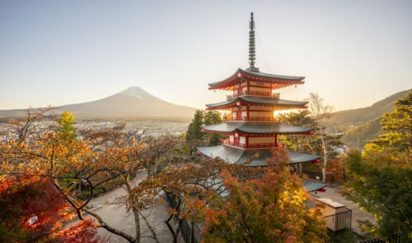 Mt. Fuji frames and Pagoda Views