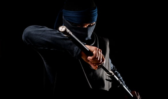 Ninja Workshop