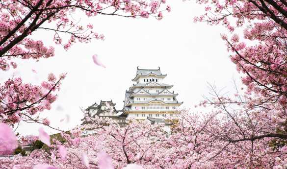 A Short Getaway to Kansai