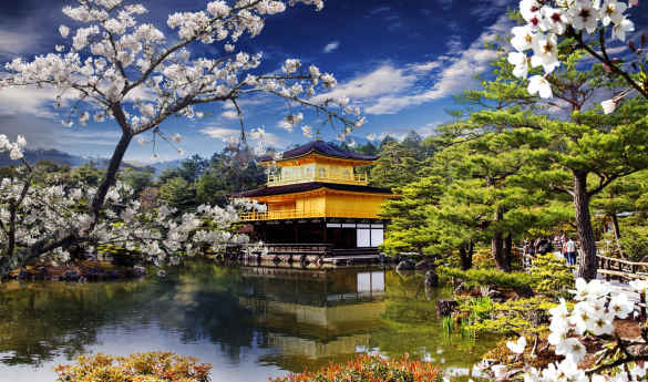 Japan in Spring - Cherry Blossom Season
